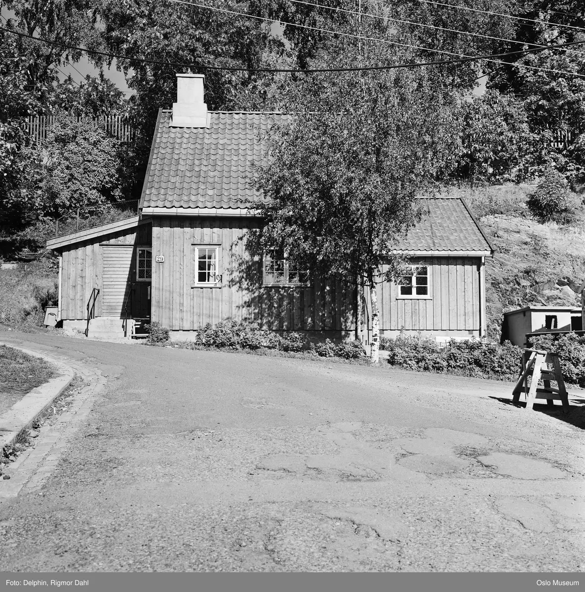 bolighus, trehus, hage