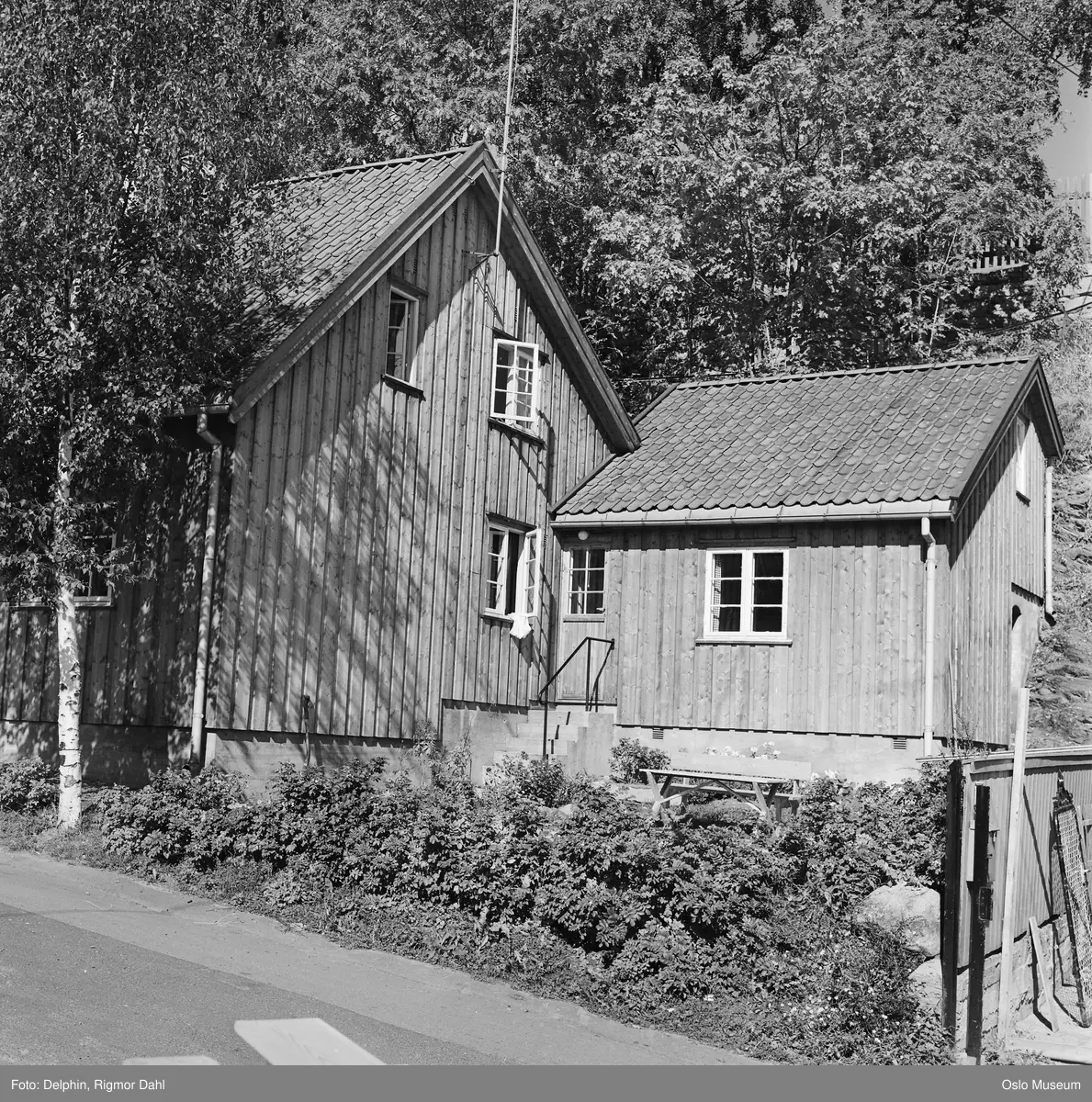 bolighus, trehus, hage