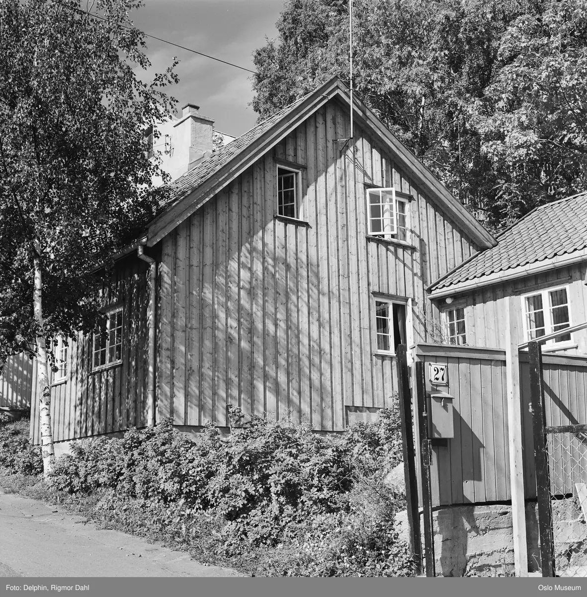 bolighus, trehus, hage