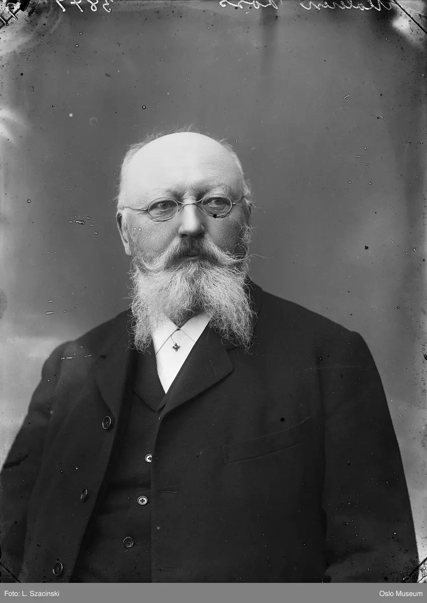 portrett, mann, kunstmaler, brystbilde