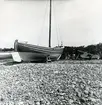 Snipa. ...[]. Sedd mot aktern. Stranden mot Öresund. Skåne, Malmöhus län, Råå.