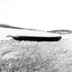 Neg nr 6. Gammal båt i Svartbyn, byggd av Johan Larssons far. Exteriör babords sida. Foto 18.8 (1962).