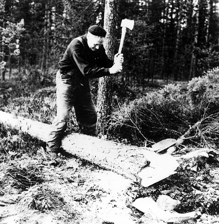 Neg nr 22. Den fällda költallen täljes av. Foto 6.10 (1962).