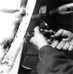 Neg nr 169. 3