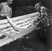 Neg nr 217. Spantämnet provas in på plats i båten. Foto 14.8 1962.