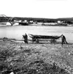 Neg nr 322, Framme vid stranden av Kalix älv nära bron vid Svartbyn. Foto 7.10 1962.