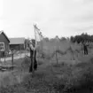 Småland, Kalmar. Stensö. Gisthage i fiskeläget.