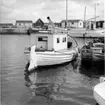 Skåne, Torekov, inre hamnen, i bakgrunden en trålare, nu passagerarbåt. I förgrunden en skånebyggd däcksbåt och en skånesnipa, möjligen Rååbygge. Juni 1962