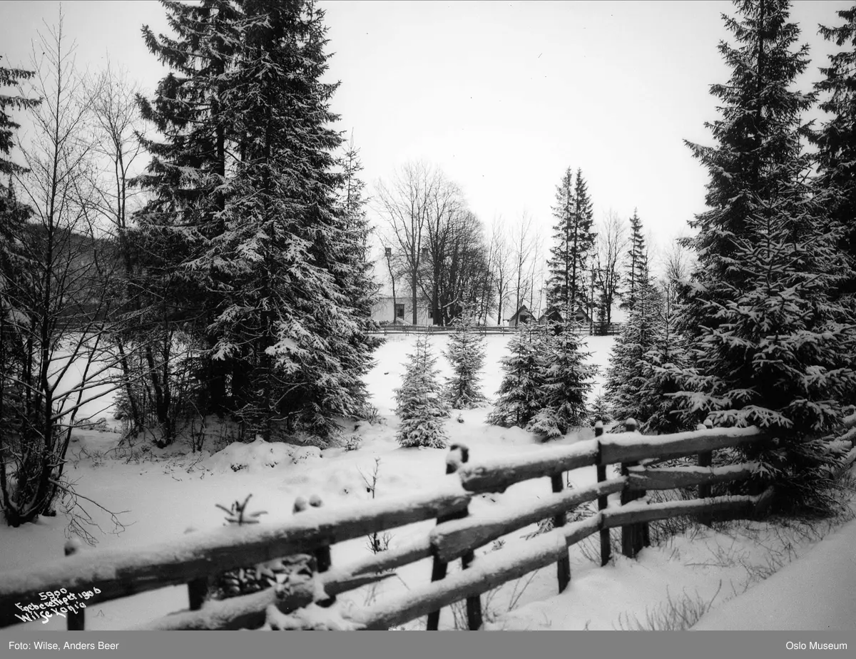 skog, snø, gjerde, gård