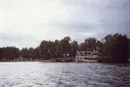 Ångf. Drottningholm vid Drottningholm 18/6-84