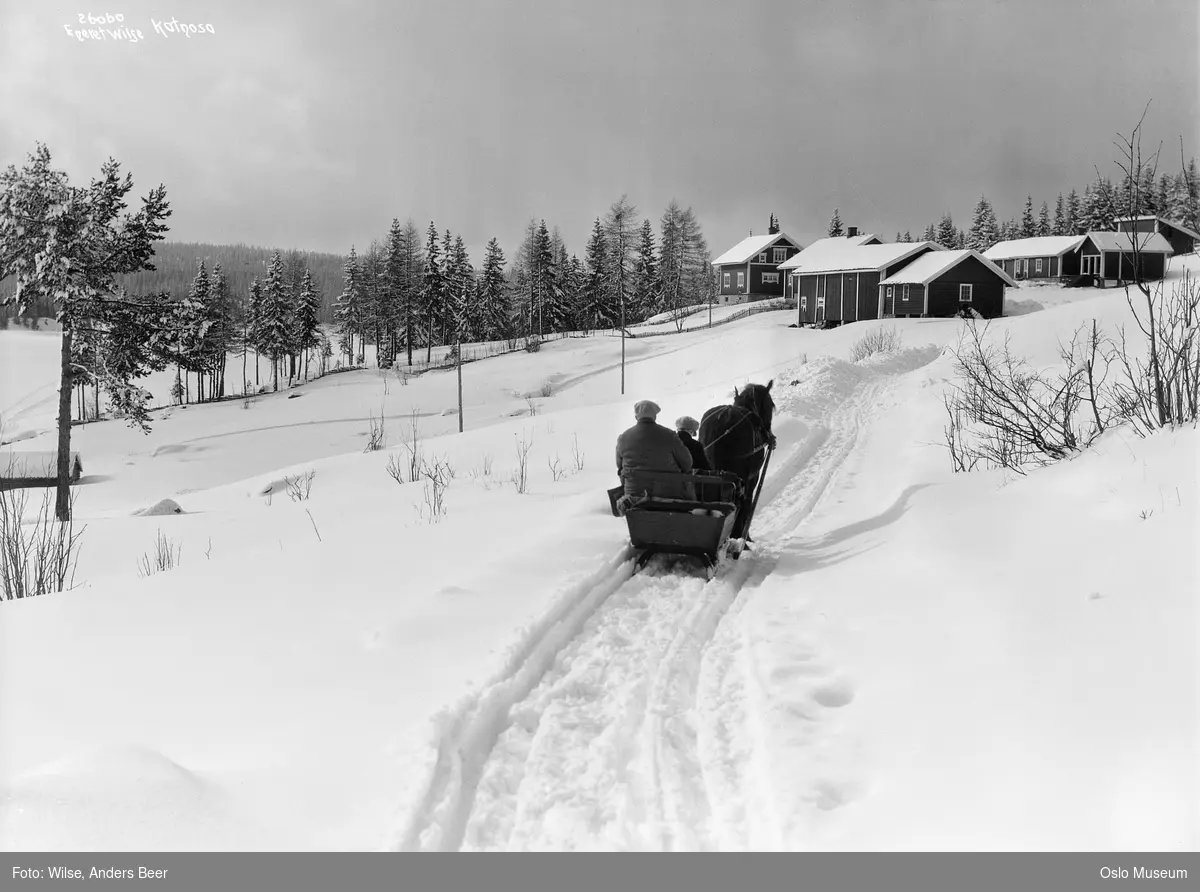 plass, bolighus, uthus, snø, hest, slede, mennesker, skog