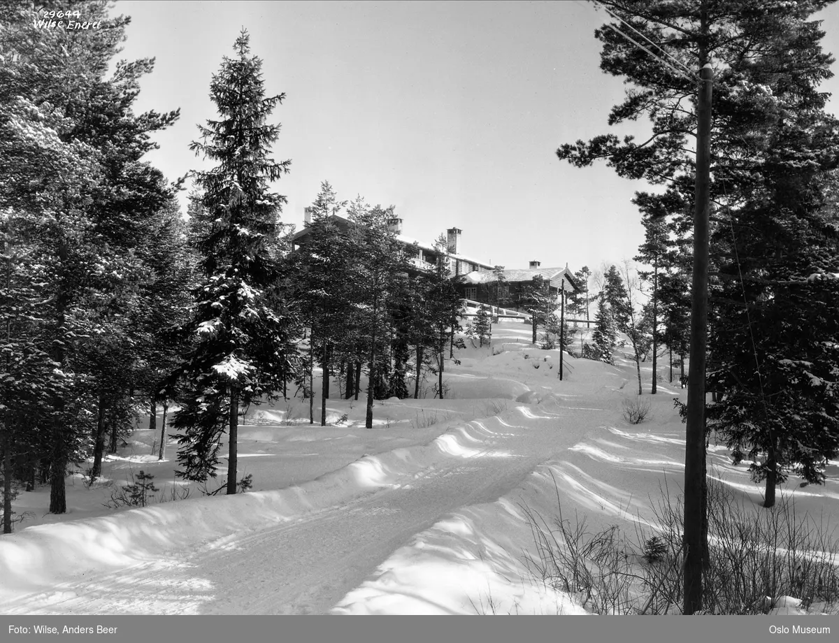 skog, vei, snø, Østmarkseteren restaurant