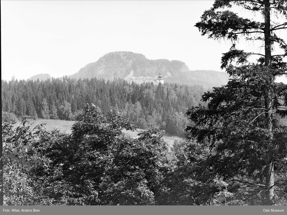 skog, Bærum sykehus, ås