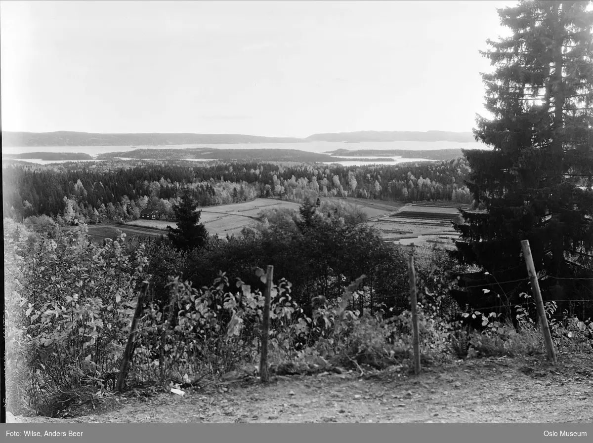 utsikt, kulturlandskap, hesjer, gård, skog, fjord, øyer