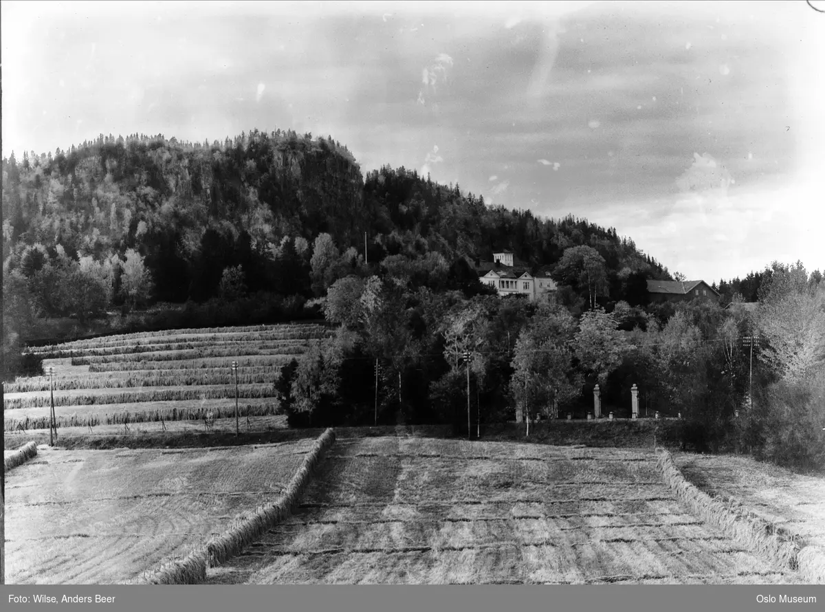 kulturlandskap, eng, hesjer, port, gård, bolighus, skog