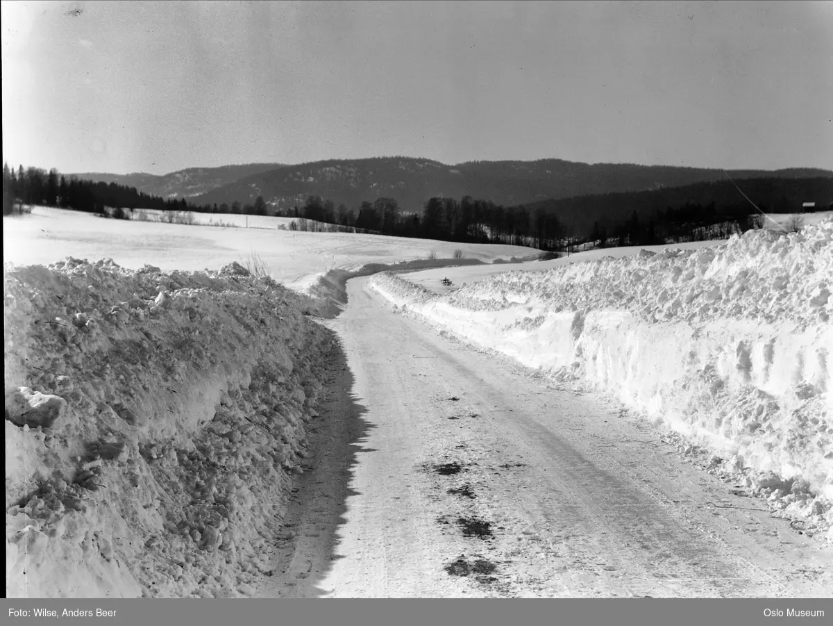 vei, snø, brøytekanter, kulturlandskap, skog, gård