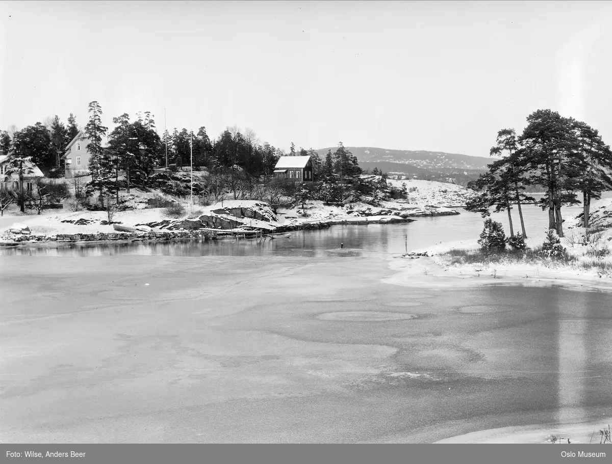 strand, svaberg, bolighus, skog, snø