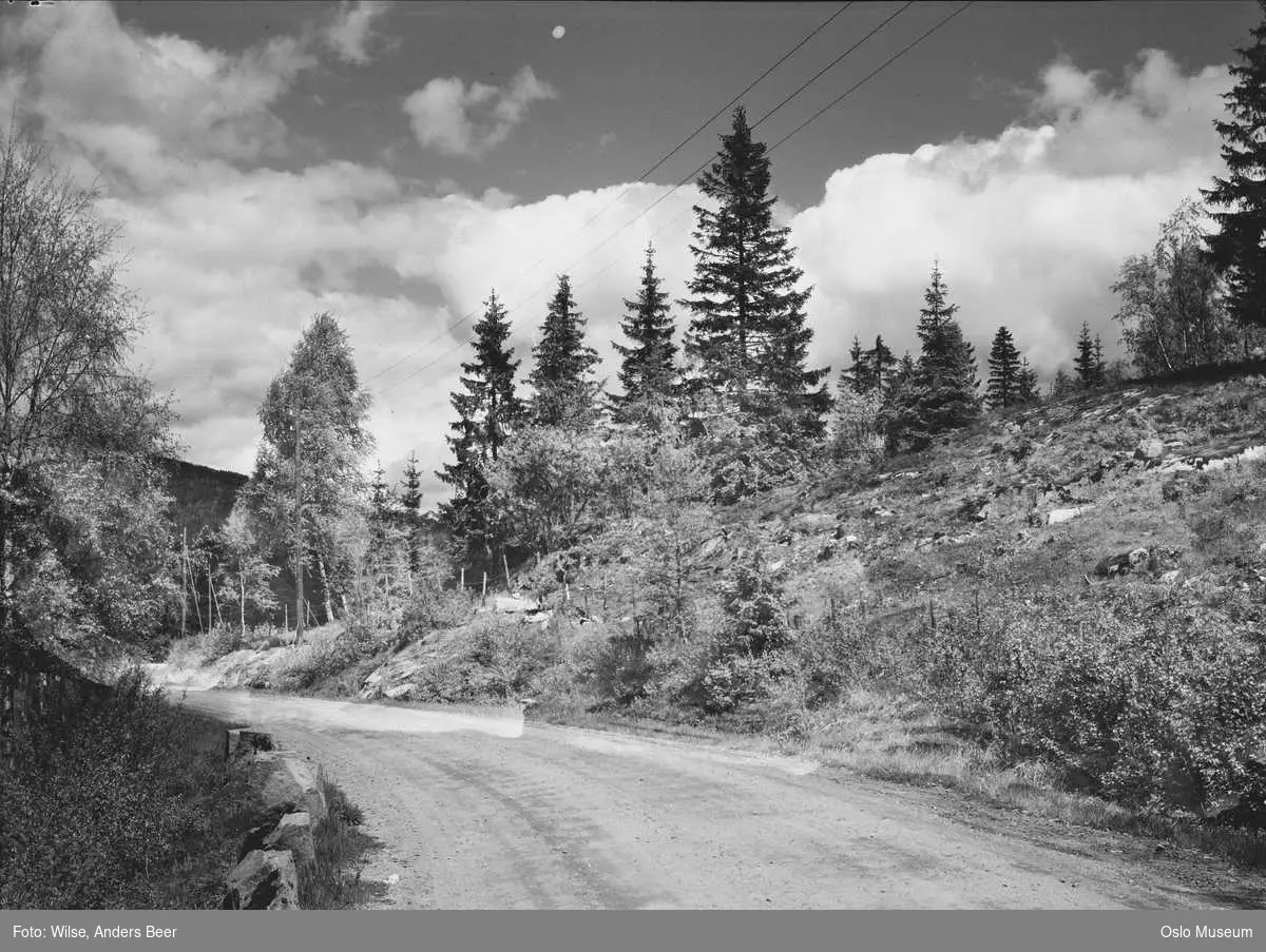 grusvei, stabbesteiner, skog