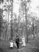 Lisa, Frithiof, Erik och Marianne Liljefors i Visbohammars hage, Gnesta, Södermanland 1900 - 1901