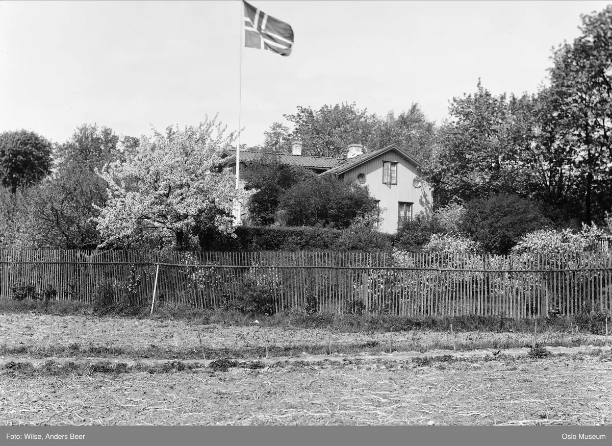villa, hage, gjerde, flaggstang