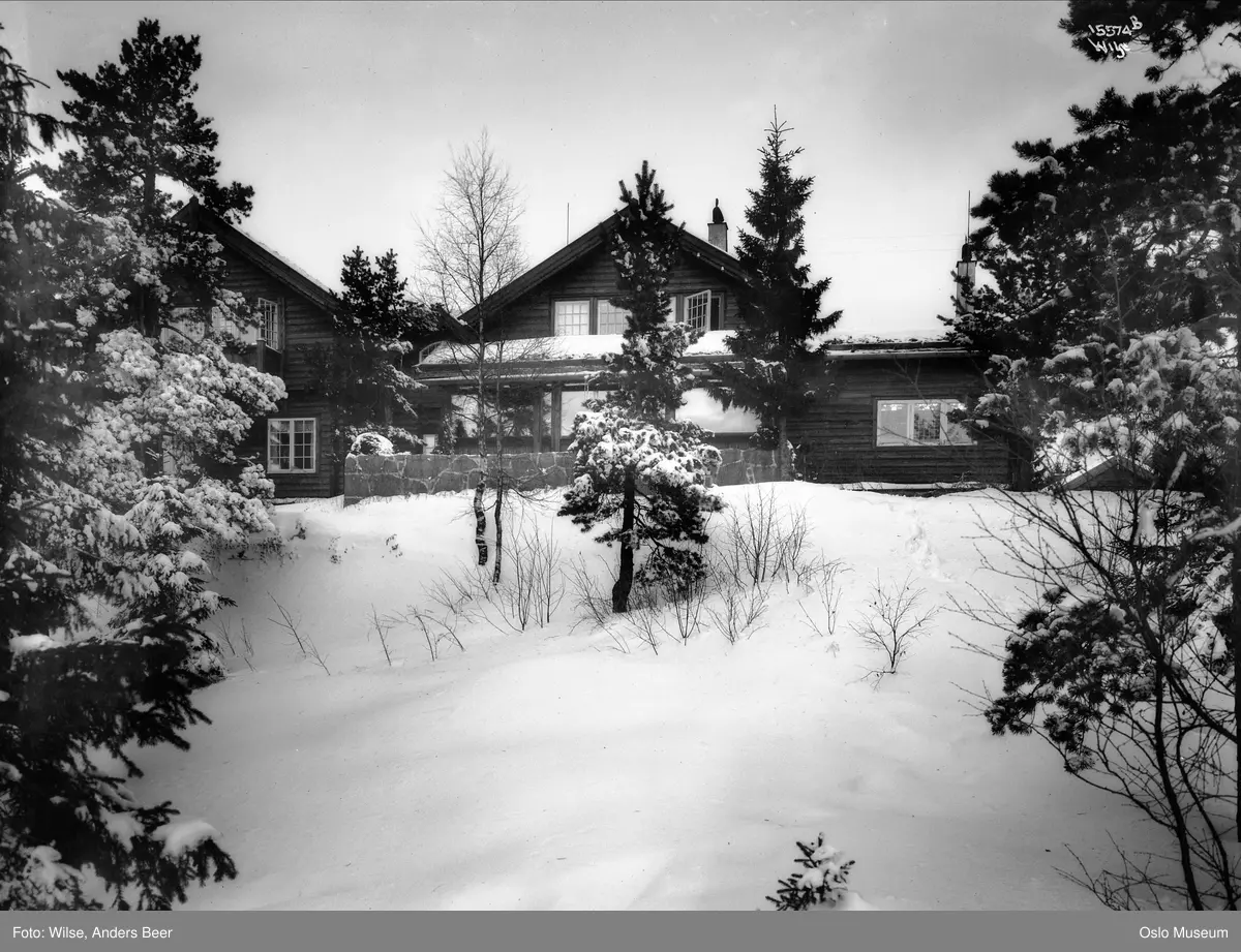 tømmervilla Solstua, hage, snø