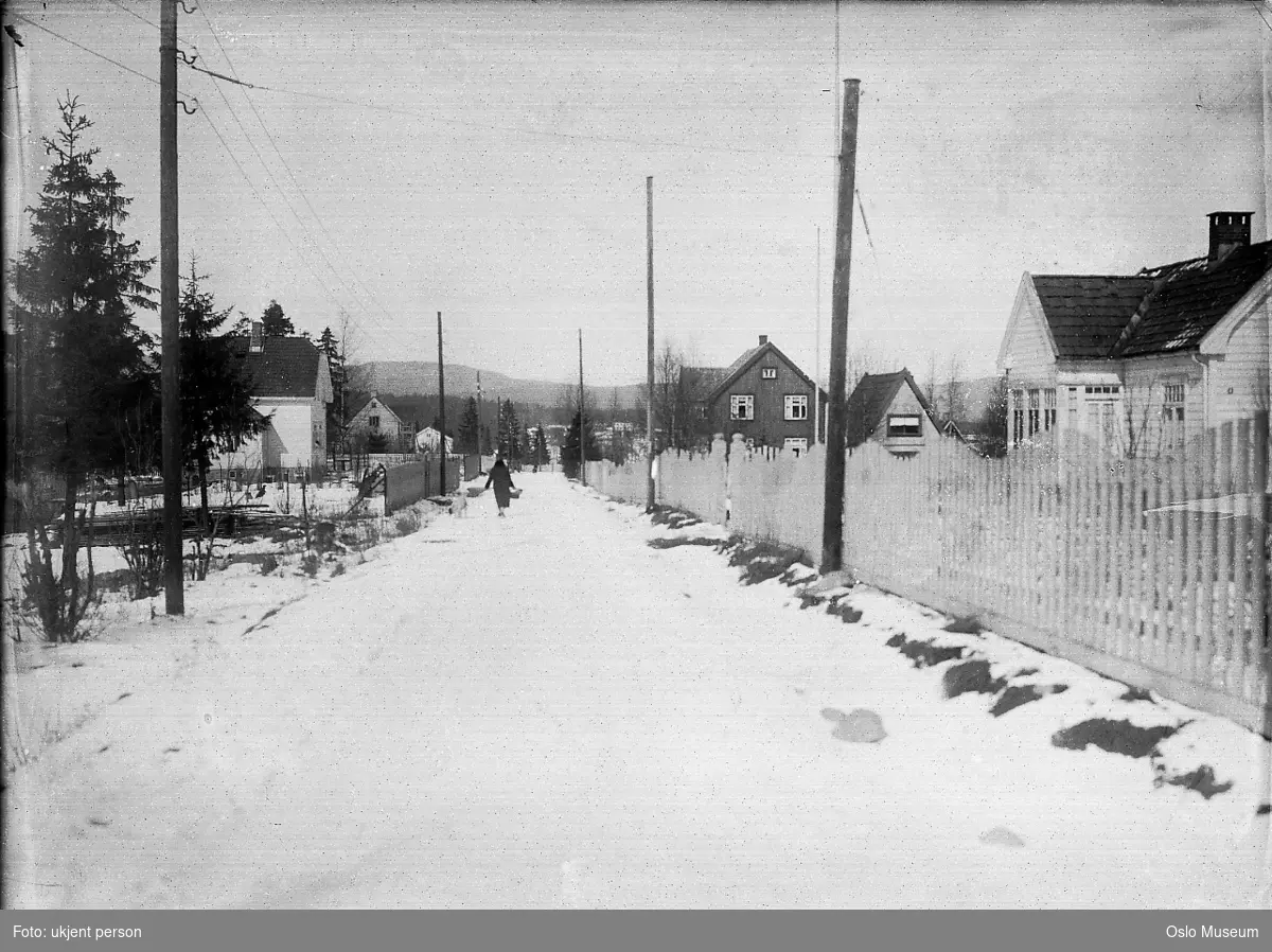 boligbebyggelse, gjerde, vei, kvinne, snø, telefonstolper