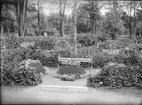 Häradshövding Thunmans grav på Uppsala gamla kyrkogård, Uppsala 1890