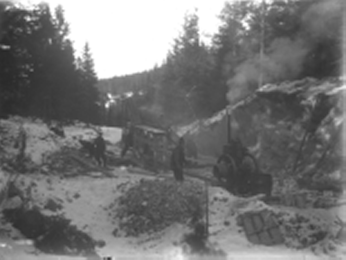 B1269