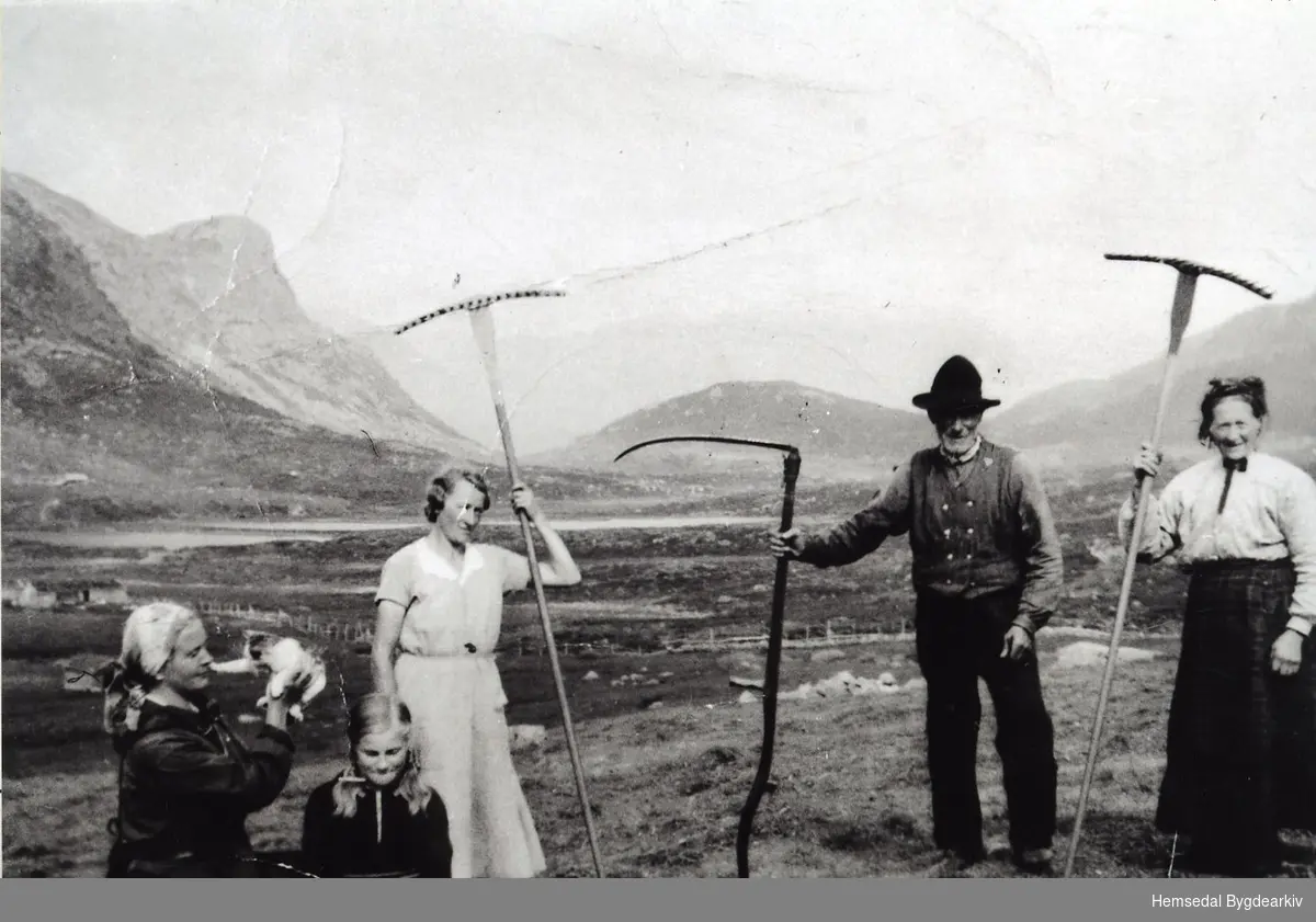 Fekjastølen i Holdeskaret i Hemsedal i 1937.
Frå venstre: Fru Astrid Magnesen (byfrue), Magnhild Flaget, Eline Fekene, Nils Fekene, og Margit Fekene. Fotograf Bjørn Magnesen.