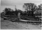 Stockholmsutställningen 1930
Alnarpsträdgården, under byggnadstiden