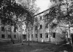 Svenska träforskningsinstitutet
Exteriör