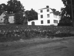 Minerva, Långa raden 7 och Dragonvägen 17D,
Exteriör