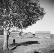 Rösa gård
Exteriör