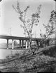 Viadukten över Rålambshovsparken
Fotografering för boken 