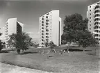 Bostadsområde i Guldheden
Exteriör, Södra Guldheden. Lekande barn i förgrunden. Tre punkthus av nio