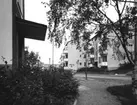 Flerbostadshus
Exteriör, bostadsområde. I förgrunden lövträd samt detalj av entréfasad med skärmtak.