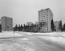 Flerbostadshusområde
Exteriör, i vinterlandskap  med höga träd