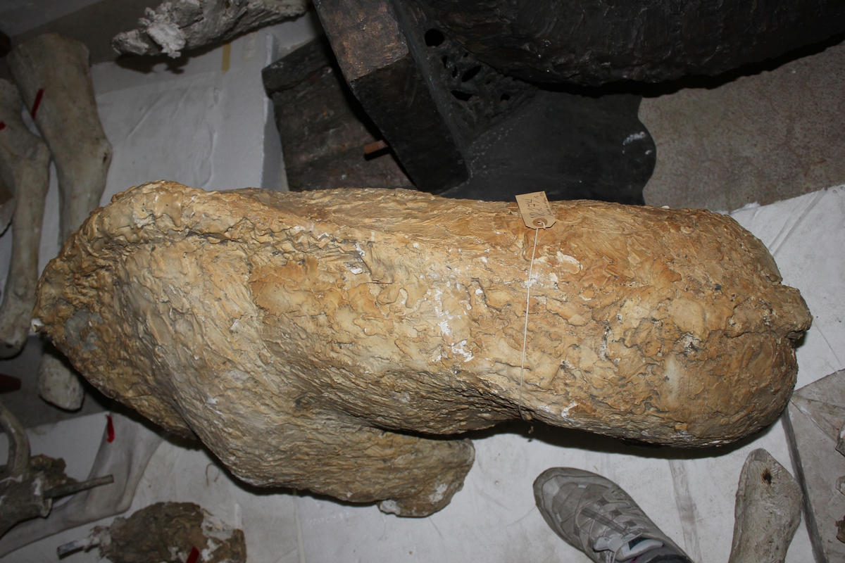 Skulptur i gips av en jerv som angriper en elgkalv. Den er i flere deler.
Denne figuren støpt i bronse ble solgt til Lindesnes kommune. Står foran Lindesnes Omsorgsenter.