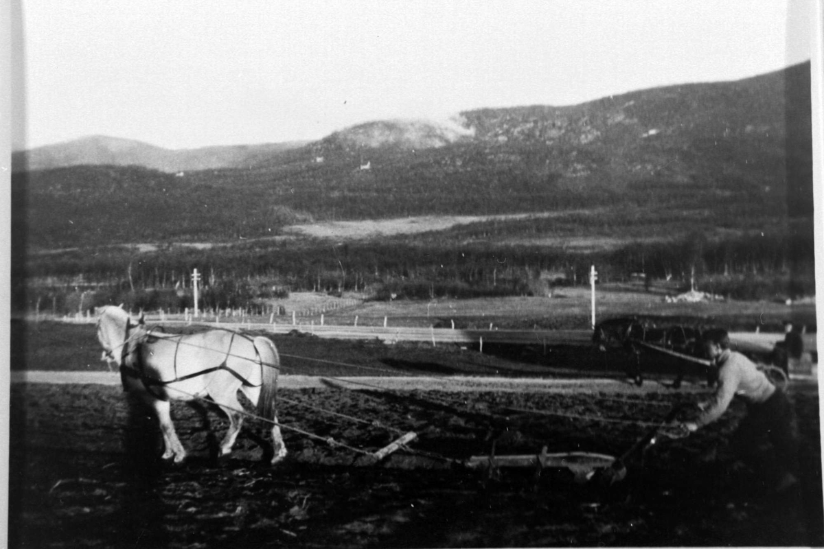 Mann pløyer med hest, bakenfor sees en mann som kjører en med hest og vogn på veien. I bakgrunnen ser vi røyken fra en skogbrann ved Blåbærhaugen. Til venstre er skyggen til fotografen.