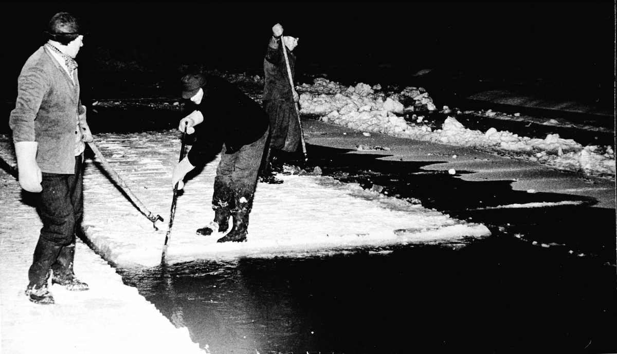 Isskjæring på Tennevatnet. Bendiks Bendiksen, Ottar Killi og Andor Amundsen arbeider.