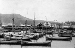 Harstadregattaen 1891