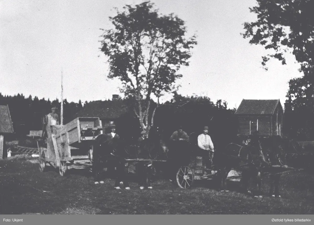 5 karer (et aksjeselskap) med hester og treskeutstyr på Grimsrødødegård i 1920-åra.