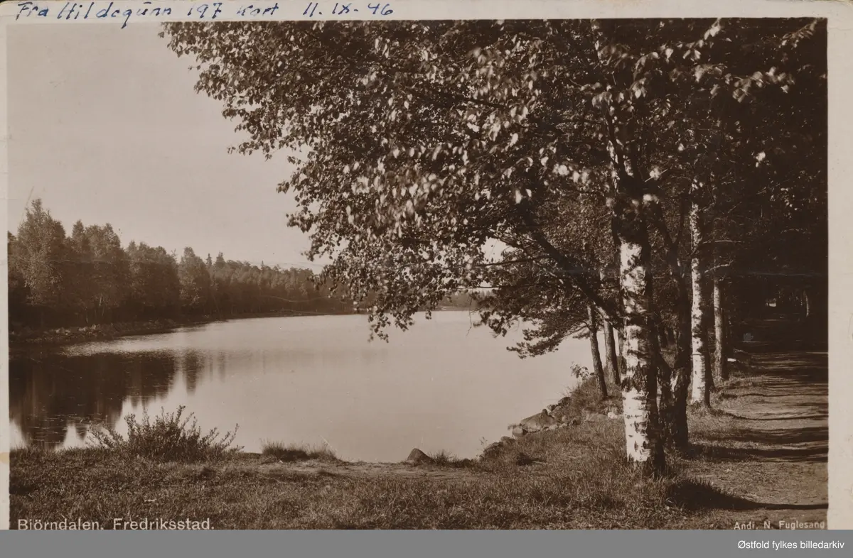 Bjørndalen med dam, friluftsområde i Fredrikstad. Drikkevann.

Bjørndalsdammene, tre kunstige vannbasseng i Bjørndalen, bygd i årene 1872-88 for å sikre byens vannforsyning. Fra 1908 ble vann overført til midtre (2.) dam fra Tvetervannet i Skjeberg, slik at dammenes funksjon først og fremst ble å tjene som trykkbasseng. Dammene har  ikke lenger noen tilknytning til byens vannverk.

Del av Fredrikstadmarka.