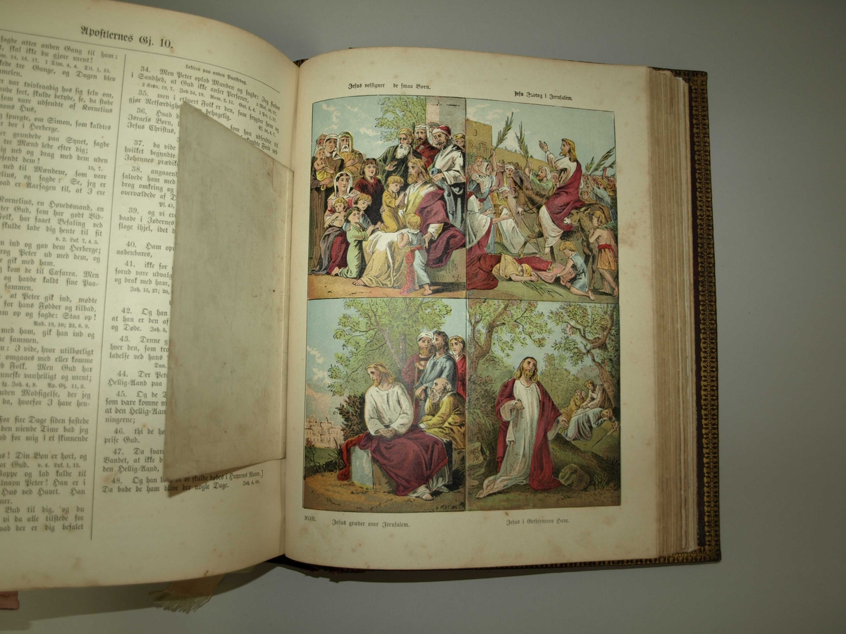 Stor og tung Bibel produsert og brukt opphaveleg i USA. Permen er tjukk og kanskje laga av tre med skinn (?) trekt utanpå. Det er fordjupningar i permen si framside. Bilete og tekst utanpå er forgylt. I Bibelen er det mange illustrasjoner og nokre sider er også i fargar. Det er også vigselsbevis/attest i den og dødsfall til eine eigar er oppført. Bakerst er det plass til fotografi, og det er fleire inni. Det ligg også ved to bokmerke, det eine brodert med initialar, og ein laus illustrasjon.