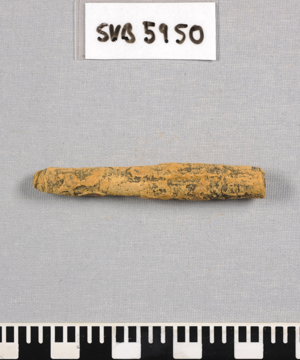 Belemnitt - fossil fra tidlig juratiden.