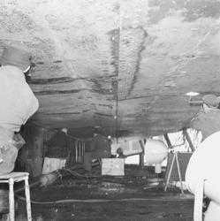 Prins Carl bottenskador