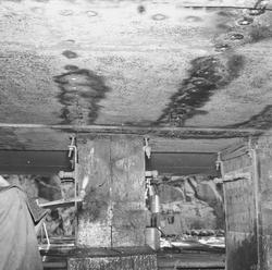 Prins Carl bottenskadaor