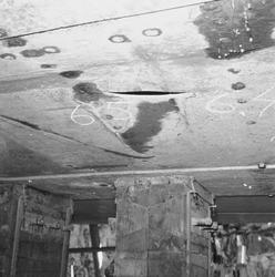 Prins Carl bottenskador