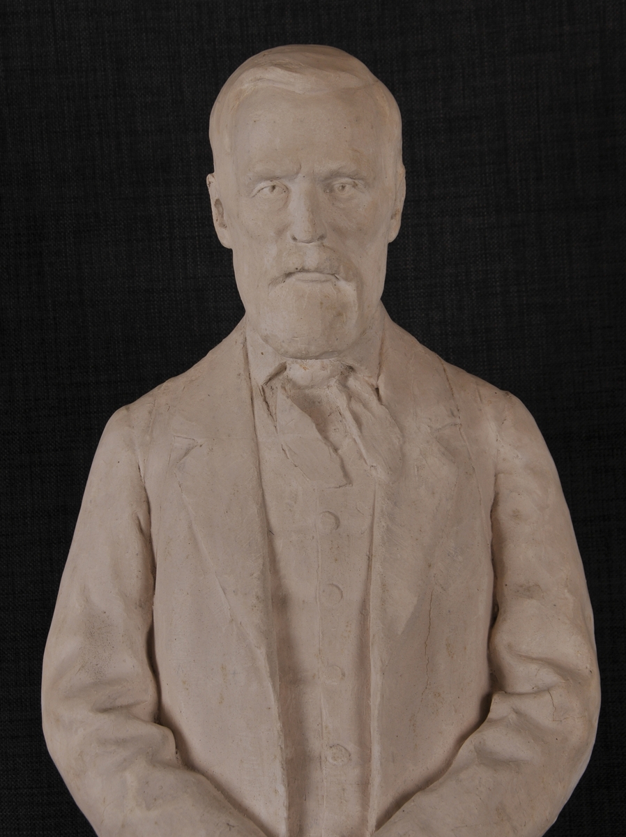 Gipsskulptur som førestiller Aasmund Olavsson Vinje. Denne er støypt i bronse og står utanfor det gamle fylkeshuset i Skien.