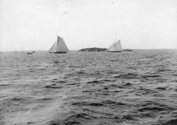 "En spännande slutstrid mellan 'Erna-Signe' och 'Sibyllan'"